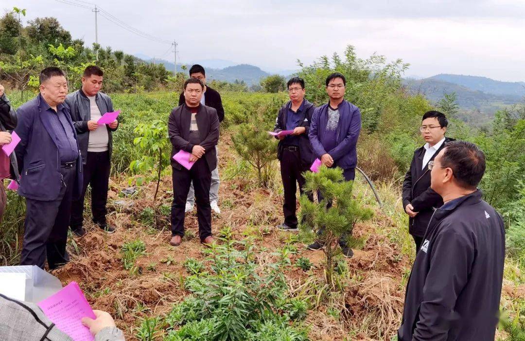 北岭村委会最新动态报道