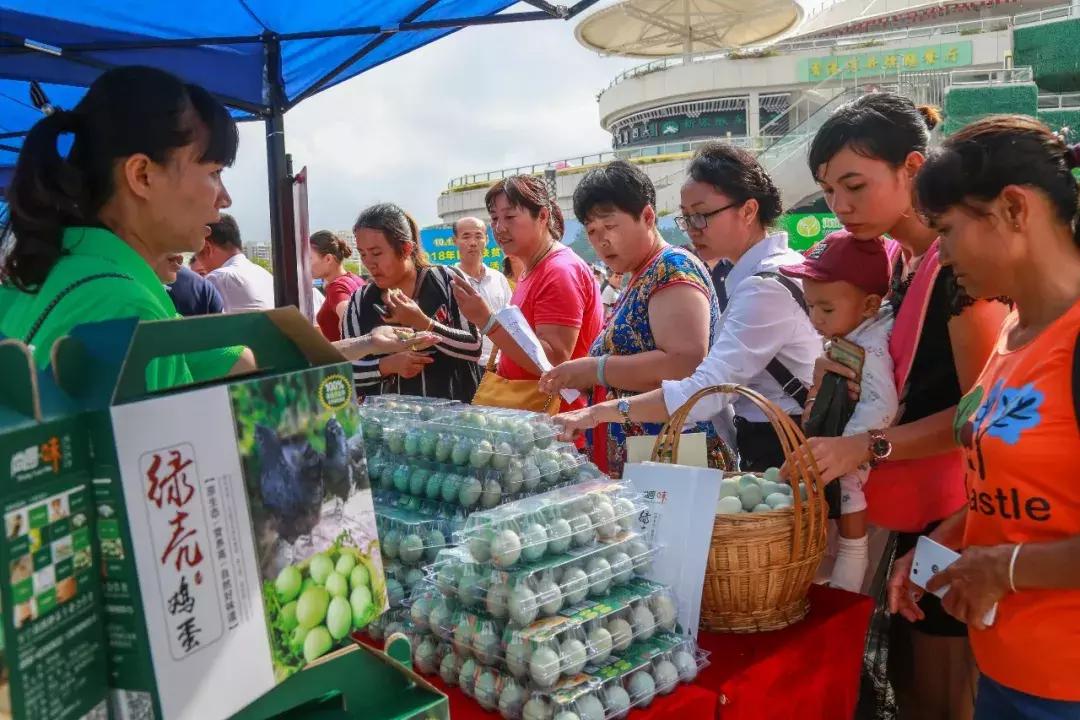 万宁市自然资源和规划局最新招聘启事概览