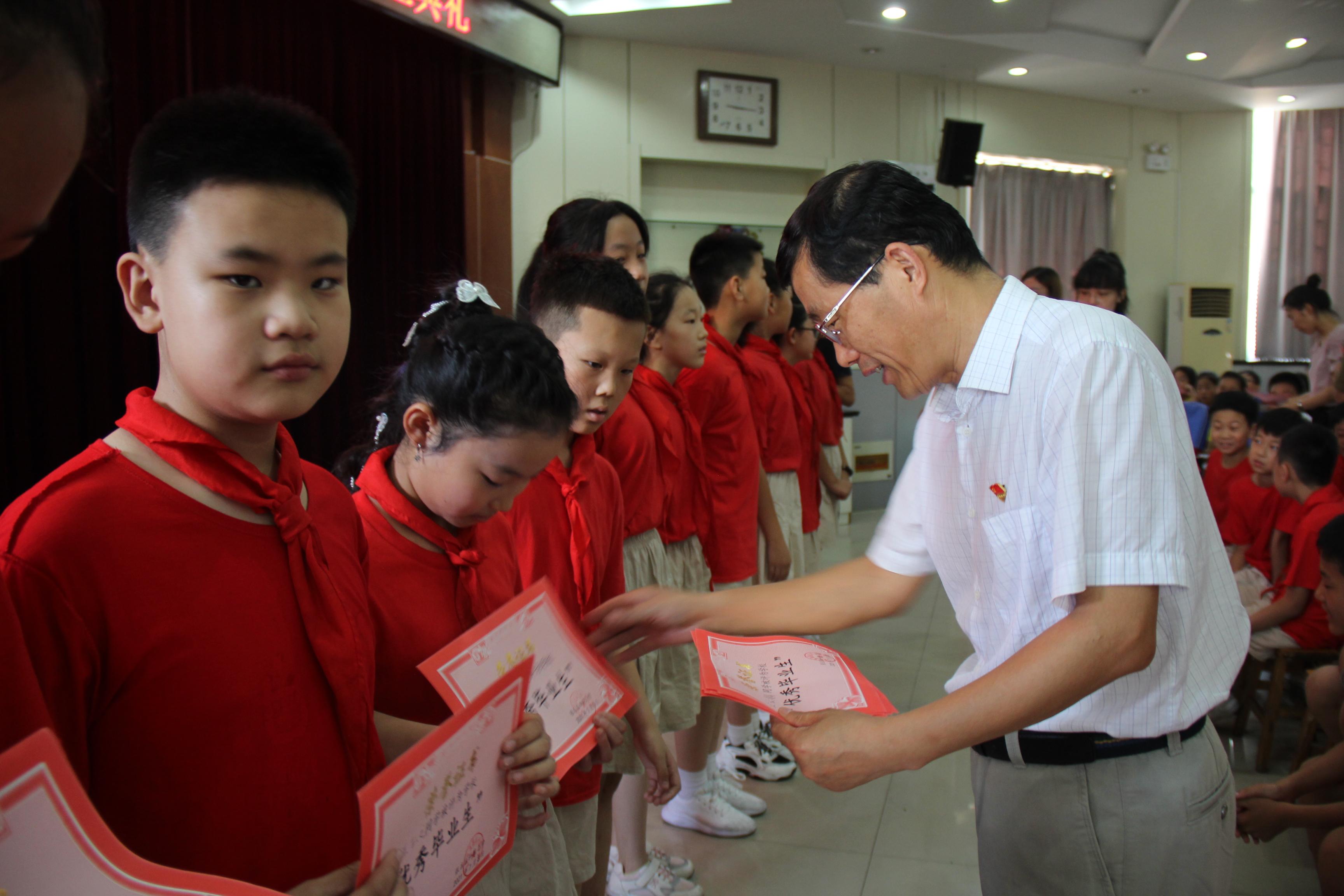 张店区小学最新招聘公告概览