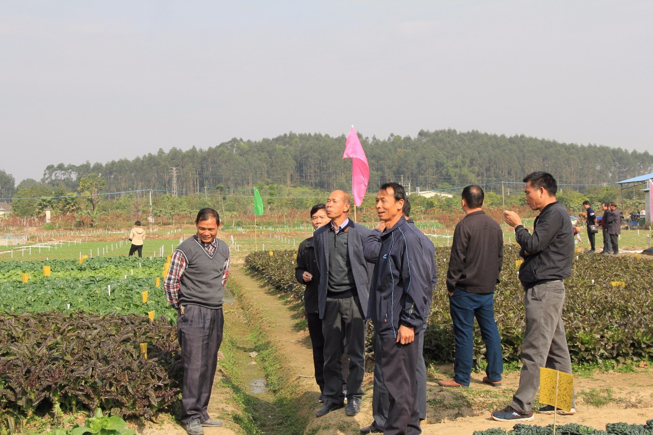 高埔岗农场最新招聘信息概览与深度解析