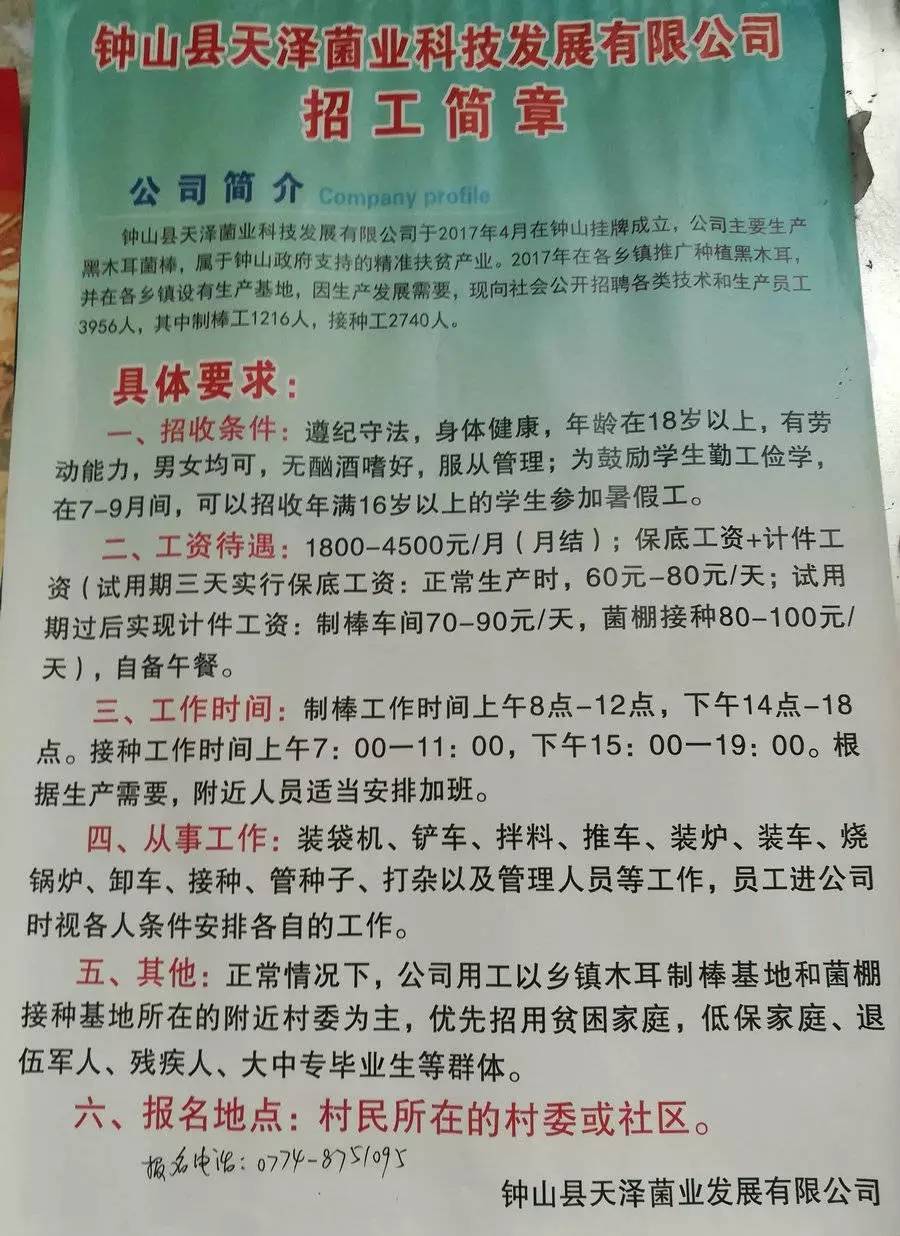 聂康村最新招聘信息全面解析