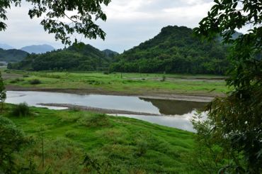 土溪村新项目，乡村振兴新引擎启动