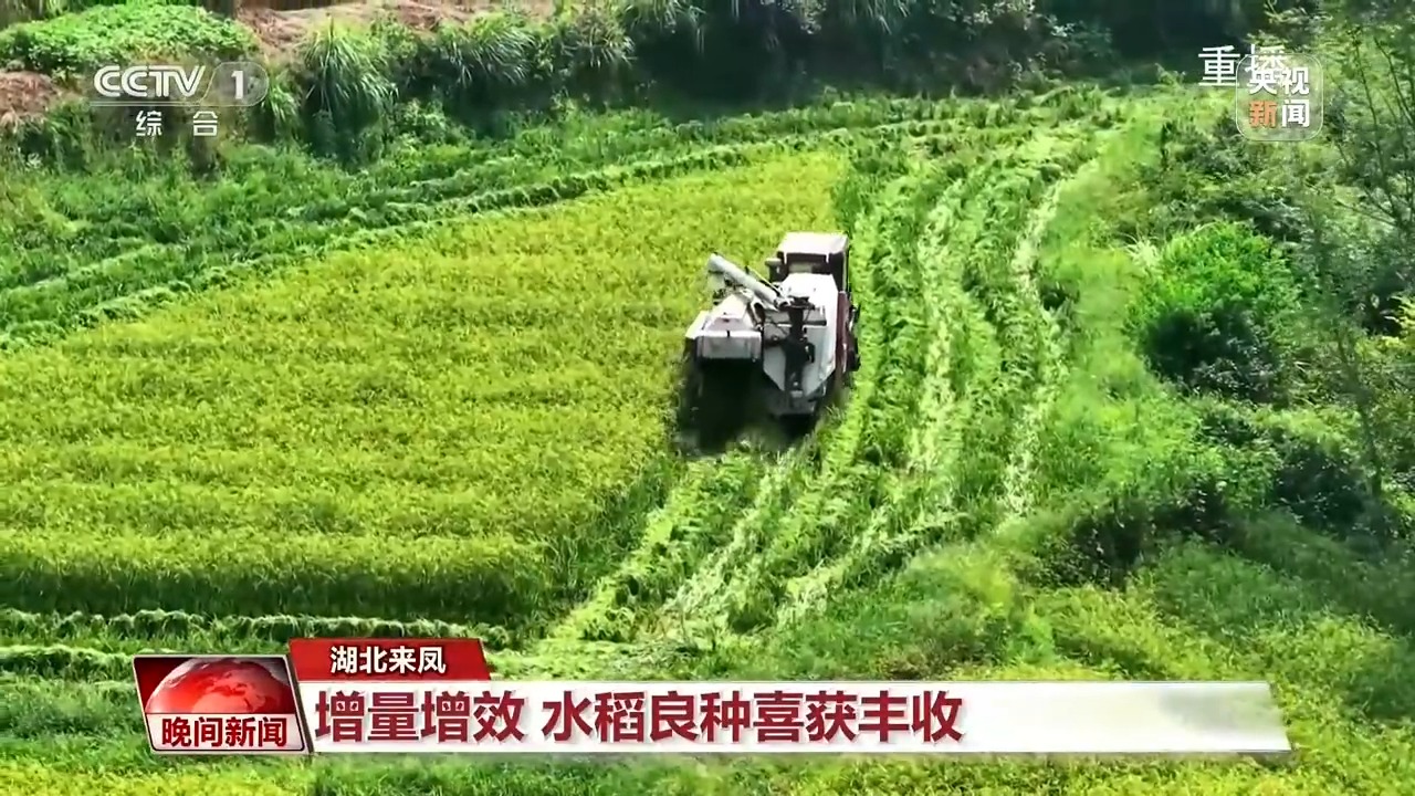 省牧草良种繁殖场交通新闻更新