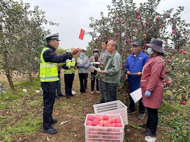 德果村最新交通动态报道