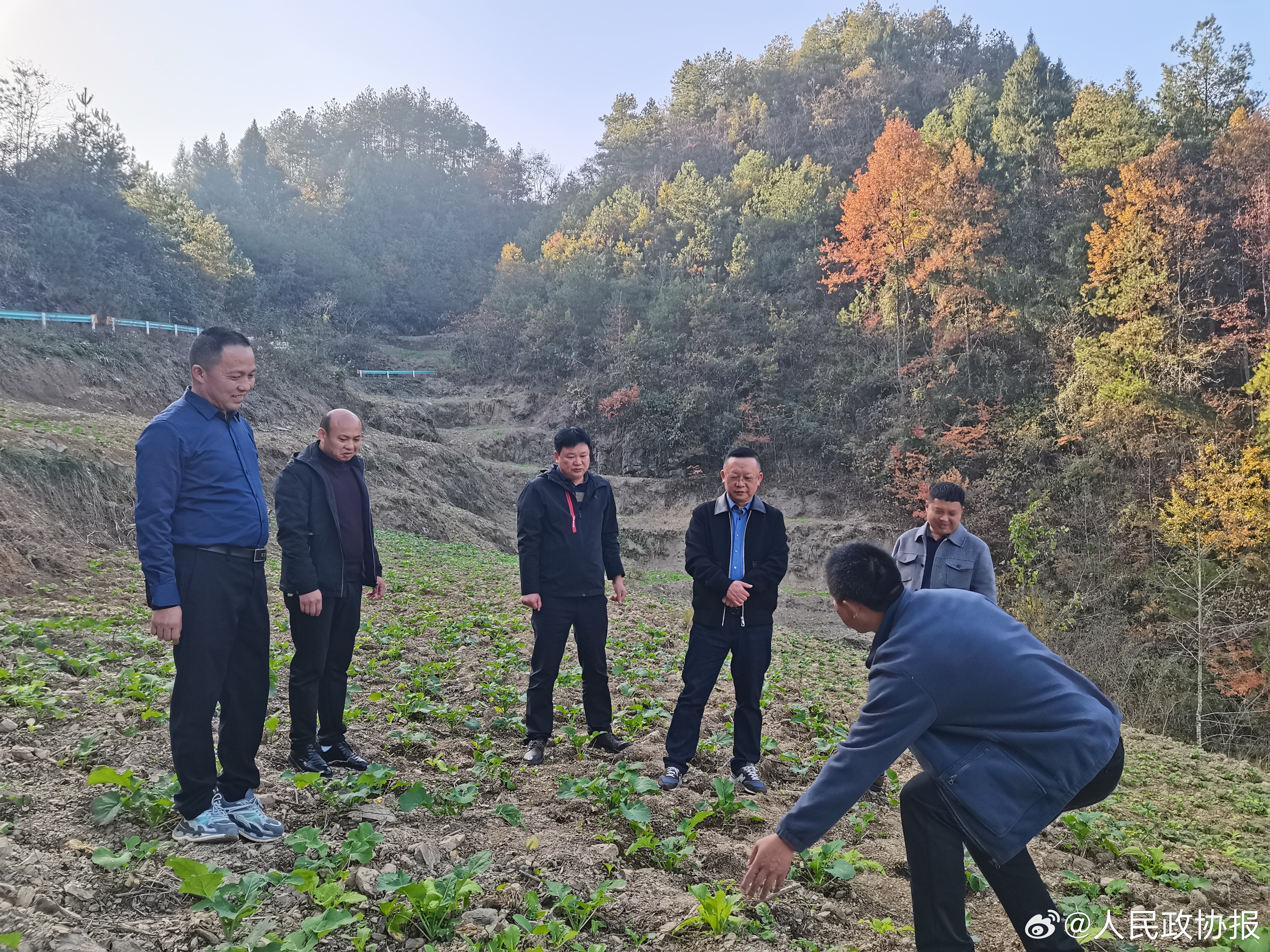 彭水苗族土家族自治县农业农村局最新项目概览，推动农业现代化与乡村振兴融合发展