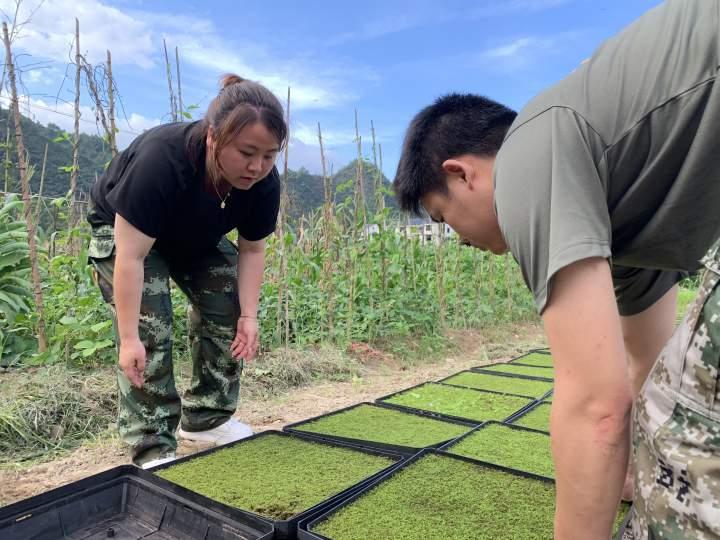 景宁畲族自治县科学技术和工业信息化局招聘启事