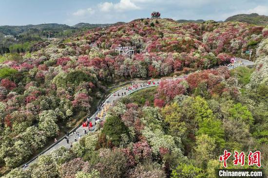 毕节市百里杜鹃景区最新攻略