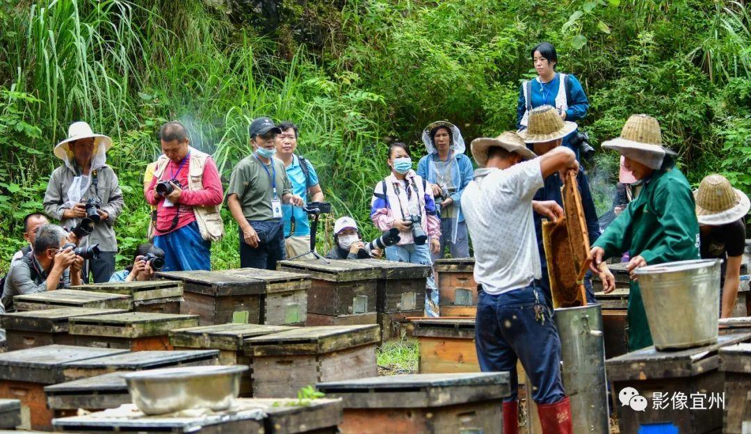 祥贝乡新领导引领地方发展迈向新高度