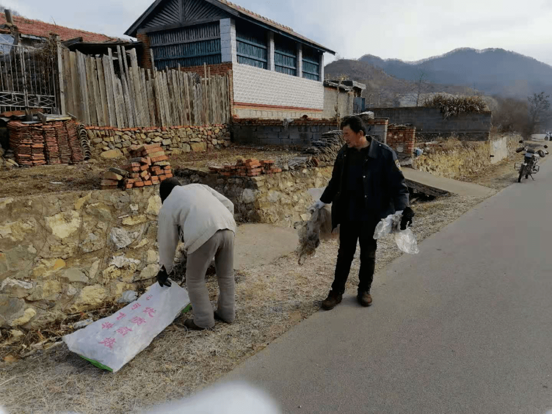 大西岔镇领导团队最新更替，引领地方发展的先锋力量