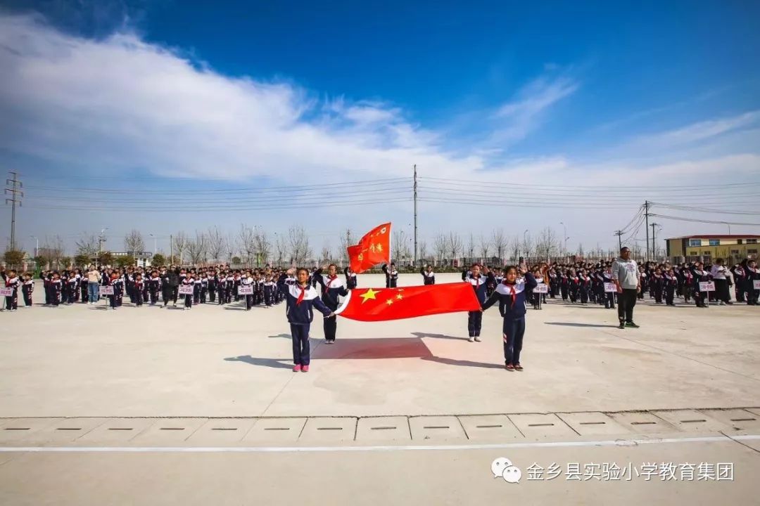 金乡县小学未来教育蓝图发展规划揭秘