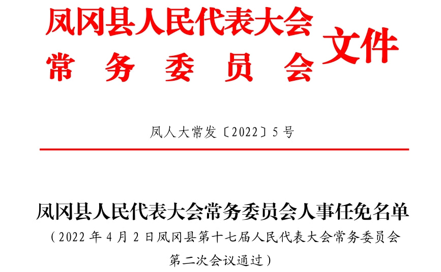 鸾风乡人事任命揭晓，引领未来，铸就辉煌新篇章