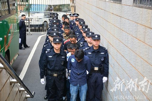 桂阳县公路运输管理事业单位最新项目研究报告揭秘