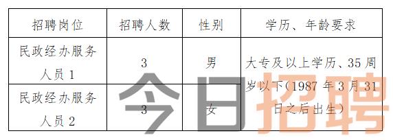 三元区文化局最新招聘信息概览与岗位概述