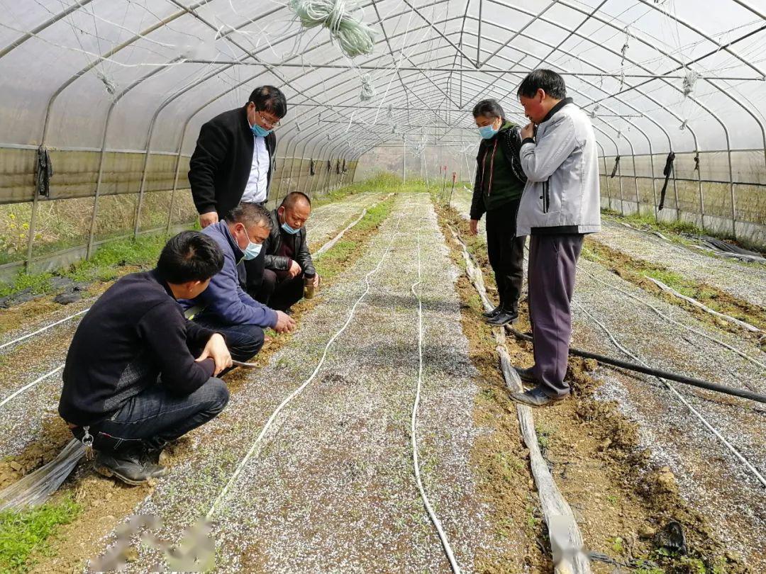 大方县农业农村局最新动态报道