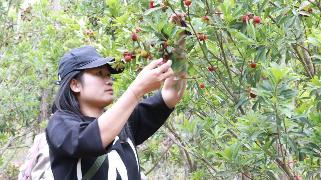 尖山区文化广电体育和旅游局招聘信息与动态更新