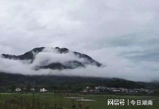 雨母山乡新闻速递，最新报道汇总