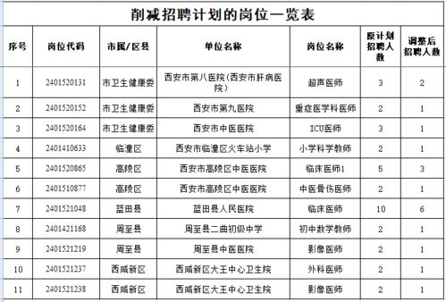 刚察县级托养福利事业单位发展规划展望