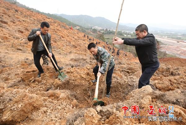 隔川乡交通新闻更新，迈向现代化交通的新步伐