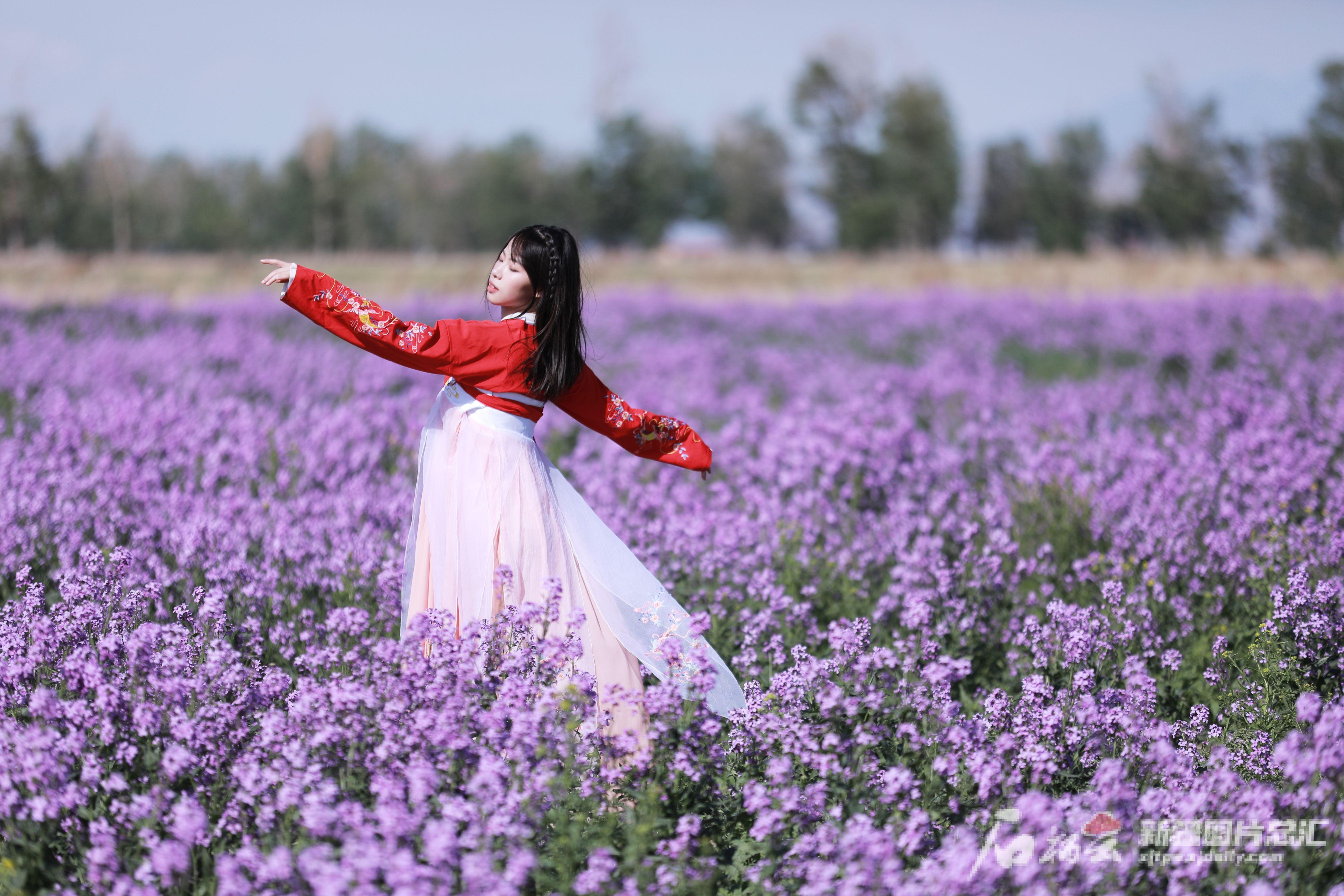 花儿园村委会最新项目，重塑乡村魅力，推动可持续发展